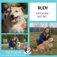 19. Rudy