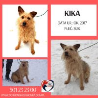 4. Kika