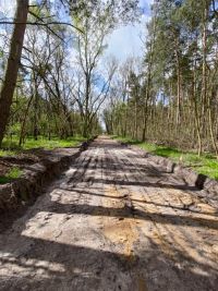 2 - korytowanie podłoża (3)