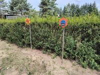 IMG_20240612_114015511_HDR