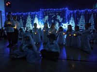 IMG_20241219_155052905