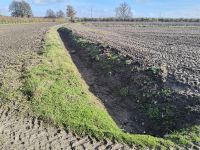 IMG_20251029_110615304_HDR