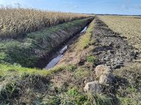 IMG_20251029_113449409_HDR