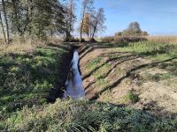 IMG_20251029_122151907_HDR