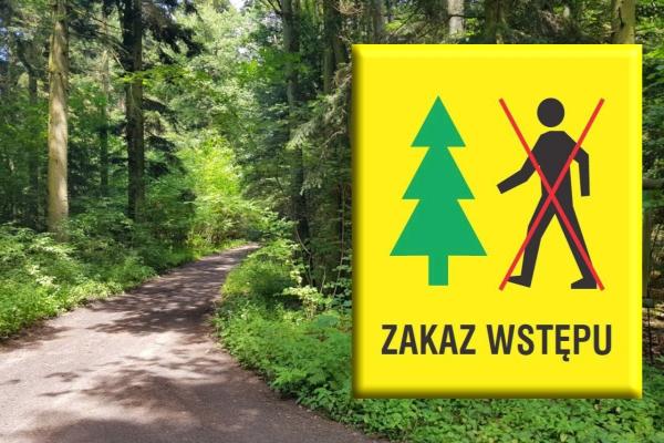 Decyzja Nadleśniczego Nadleśnictwa Grotniki w sprawie wprowadzenia zakazu wstępu do lasu