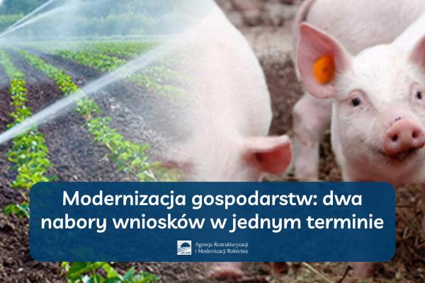 Modernizacja gospodarstw: dwa nabory wniosków w jednym terminie