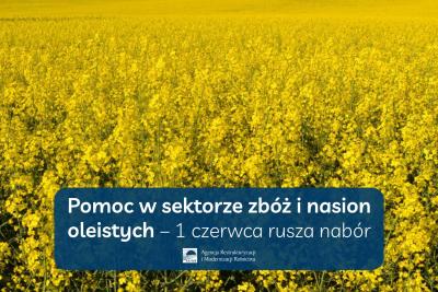 Pomoc w sektorze zbóż i nasion oleistych – 1 czerwca rusza nabór wniosków