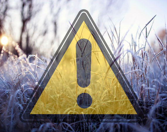Ostrzeżenie meteorologiczne (14.03.2025) - Przymrozki
