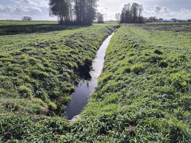 Podsumowanie prac Gminnej Spółki Wodnej w Głownie w 2025 roku